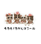 nikoponpon（個別スタンプ：34）