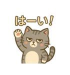 ツンデレしまねこ（個別スタンプ：1）