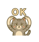 ツンデレしまねこ（個別スタンプ：2）