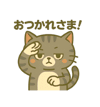 ツンデレしまねこ（個別スタンプ：4）