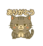 ツンデレしまねこ（個別スタンプ：5）