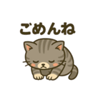 ツンデレしまねこ（個別スタンプ：6）