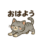 ツンデレしまねこ（個別スタンプ：7）
