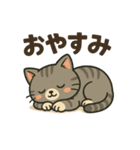 ツンデレしまねこ（個別スタンプ：8）