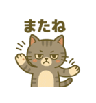 ツンデレしまねこ（個別スタンプ：11）