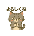 ツンデレしまねこ（個別スタンプ：12）