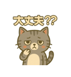 ツンデレしまねこ（個別スタンプ：13）