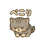 ツンデレしまねこ（個別スタンプ：14）