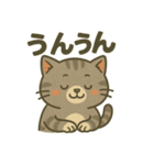 ツンデレしまねこ（個別スタンプ：15）