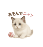 子ネコverラグドール（個別スタンプ：3）