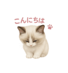 子ネコverラグドール（個別スタンプ：6）