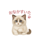 子ネコverラグドール（個別スタンプ：7）