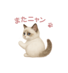 子ネコverラグドール（個別スタンプ：9）