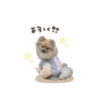 なのは.さくらこ.こうめ♡スタンダード（個別スタンプ：6）
