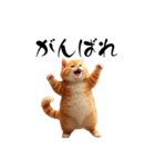 猫ちゃんたち 猫 猫（個別スタンプ：3）