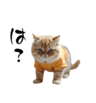 猫ちゃんたち 猫 猫（個別スタンプ：9）