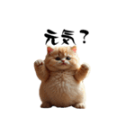 猫ちゃんたち 猫 猫（個別スタンプ：10）