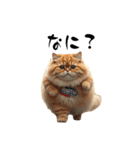 猫ちゃんたち 猫 猫（個別スタンプ：14）