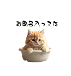猫ちゃんたち 猫 猫（個別スタンプ：15）