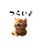 猫ちゃんたち 猫 猫（個別スタンプ：16）