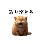 猫ちゃんたち 猫 猫（個別スタンプ：18）