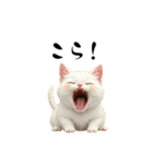 猫ちゃんたち 猫 猫（個別スタンプ：19）