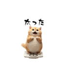 猫ちゃんたち 猫 猫（個別スタンプ：21）