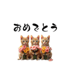 猫ちゃんたち 猫 猫（個別スタンプ：22）