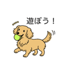 名前入りダックスロングイエロー（個別スタンプ：1）