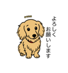 名前入りダックスロングイエロー（個別スタンプ：4）
