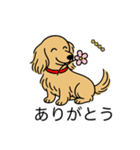 名前入りダックスロングイエロー（個別スタンプ：5）