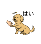 名前入りダックスロングイエロー（個別スタンプ：6）
