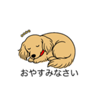 名前入りダックスロングイエロー（個別スタンプ：9）