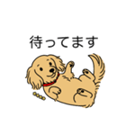 名前入りダックスロングイエロー（個別スタンプ：10）