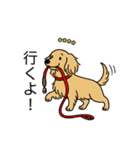 名前入りダックスロングイエロー（個別スタンプ：11）