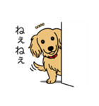 名前入りダックスロングイエロー（個別スタンプ：12）