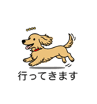 名前入りダックスロングイエロー（個別スタンプ：13）