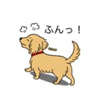 名前入りダックスロングイエロー（個別スタンプ：14）
