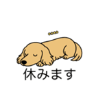 名前入りダックスロングイエロー（個別スタンプ：16）