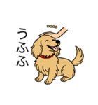 名前入りダックスロングイエロー（個別スタンプ：19）