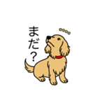 名前入りダックスロングイエロー（個別スタンプ：20）