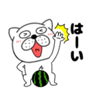 【夏】ぶさいく犬52（個別スタンプ：35）