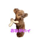 鈴木家1位権力犬るい殿（個別スタンプ：2）