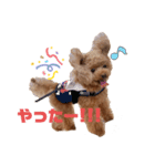 鈴木家1位権力犬るい殿（個別スタンプ：5）