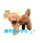 鈴木家1位権力犬るい殿（個別スタンプ：7）