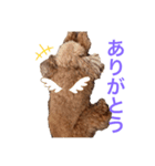 鈴木家1位権力犬るい殿（個別スタンプ：8）