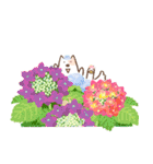 ぱんつ犬 ぴんちょす！〈夏〉（個別スタンプ：1）
