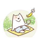 ぱんつ犬 ぴんちょす！〈夏〉（個別スタンプ：11）