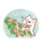ぱんつ犬 ぴんちょす！〈夏〉（個別スタンプ：17）