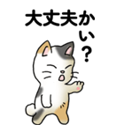 気遣い三毛猫（個別スタンプ：1）